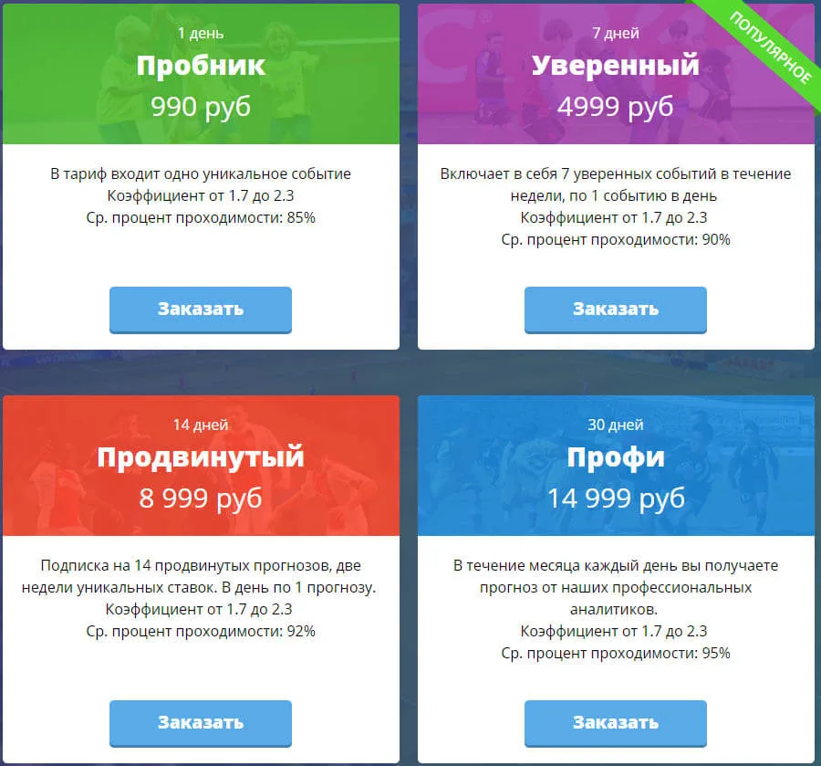 Цены ставок тим бет