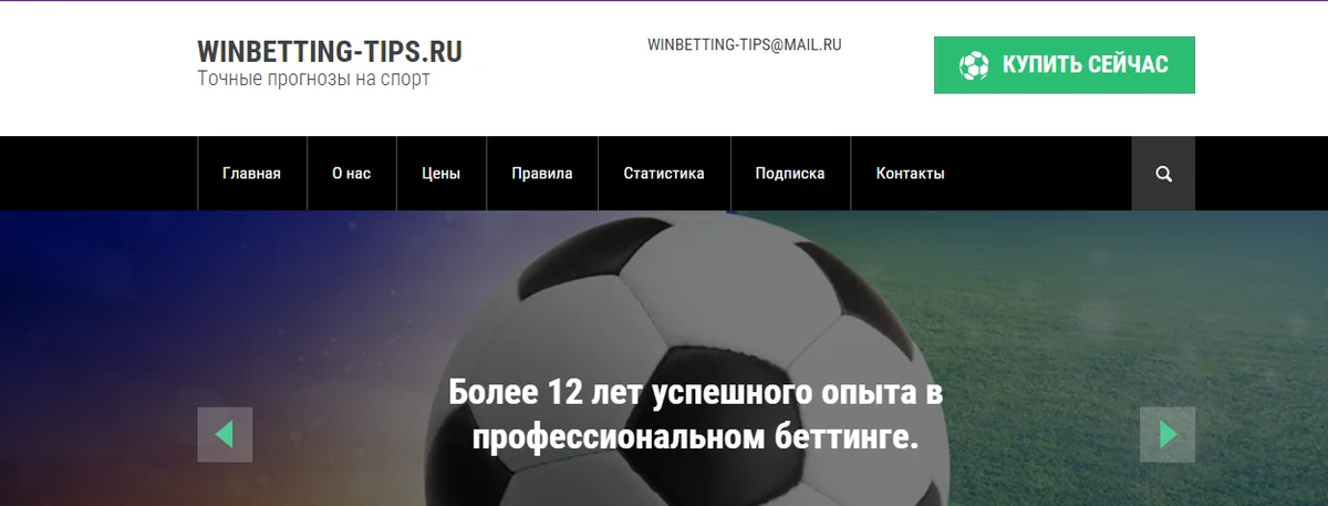Внешний вид сайта winbetting-tips.ru