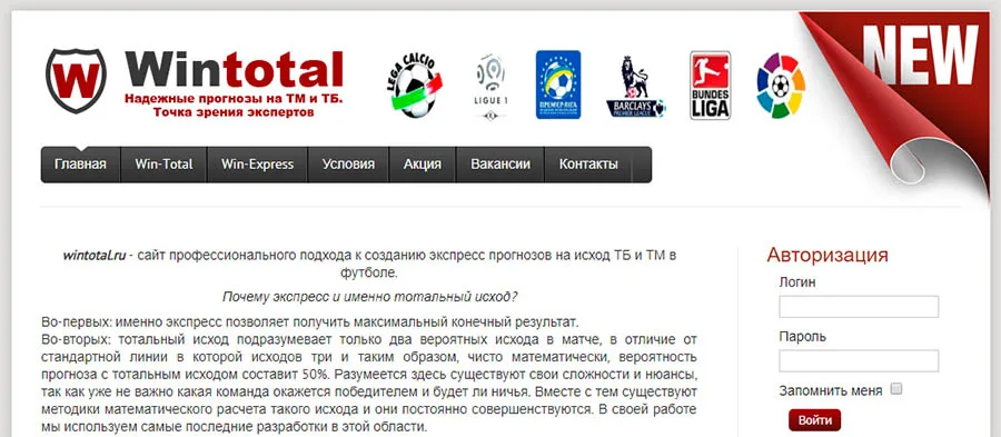 Внешний вид сайта wintotal.ru