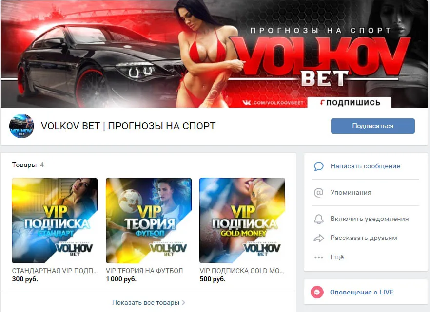 Внешний вид группы вк Volkov Bet