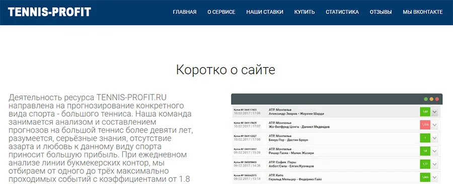 Внешний вид сайта tennis-profit.ru