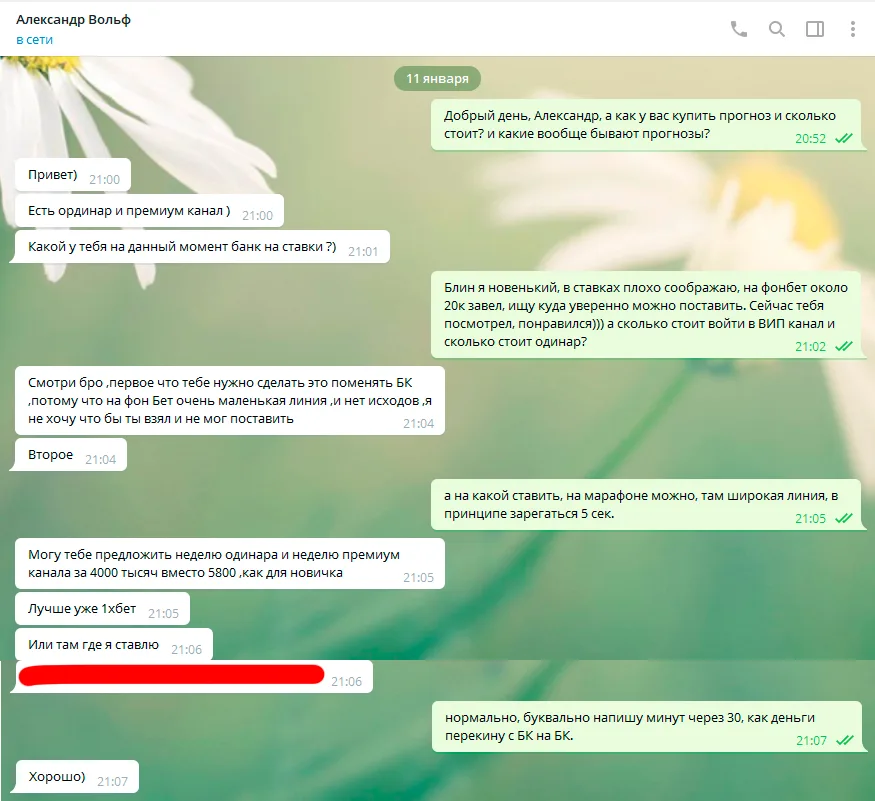 Цены группы Wolf Bet